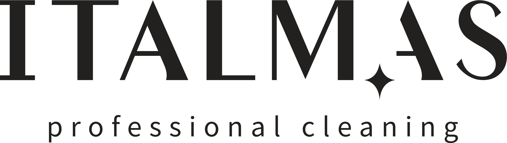 ITALMAS Professional CLEANING