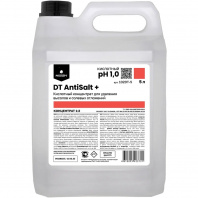DT AntiSalt+ Кислотное низкопен.ср-во от высолов/ солевых отлож.Концентр.5л. PROSEPT 102DT-5/ 03546